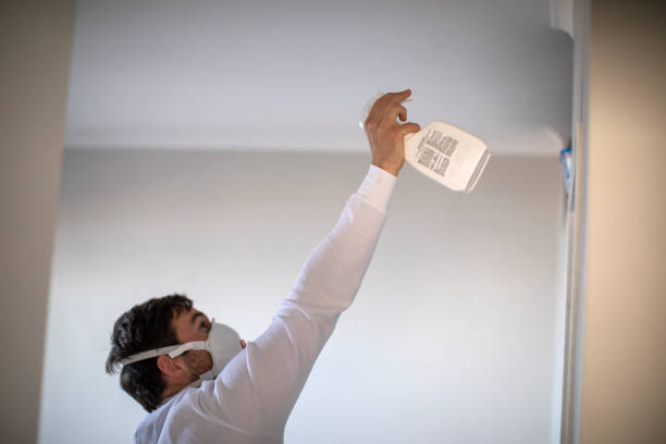 Best Same-Day Mold Removal  in Cherryvale, SC