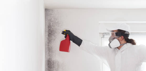 Best Residential Mold Removal  in Cherryvale, SC