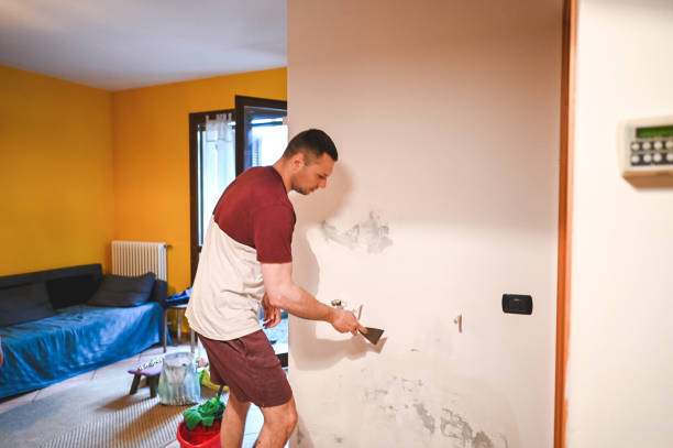 Best Mold Damage Repair  in Cherryvale, SC